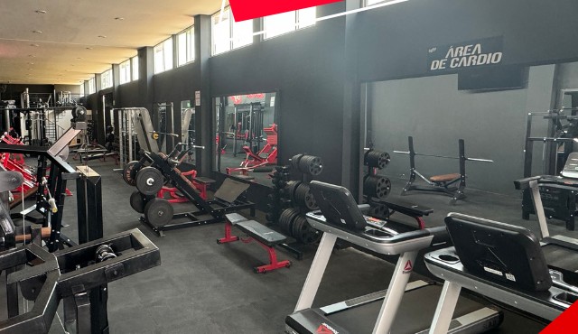 Área de cardio y peso libre